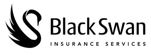 BSIS-Logo-Black